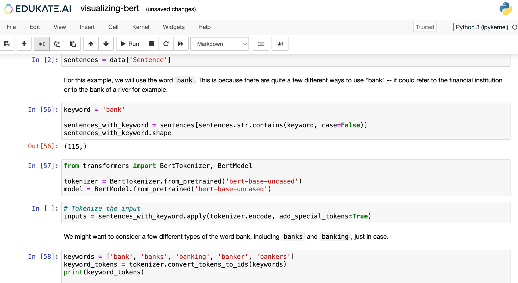 Jupyter notebook BERT language model