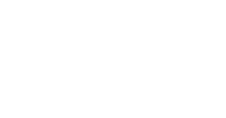 partner_analystX_logo