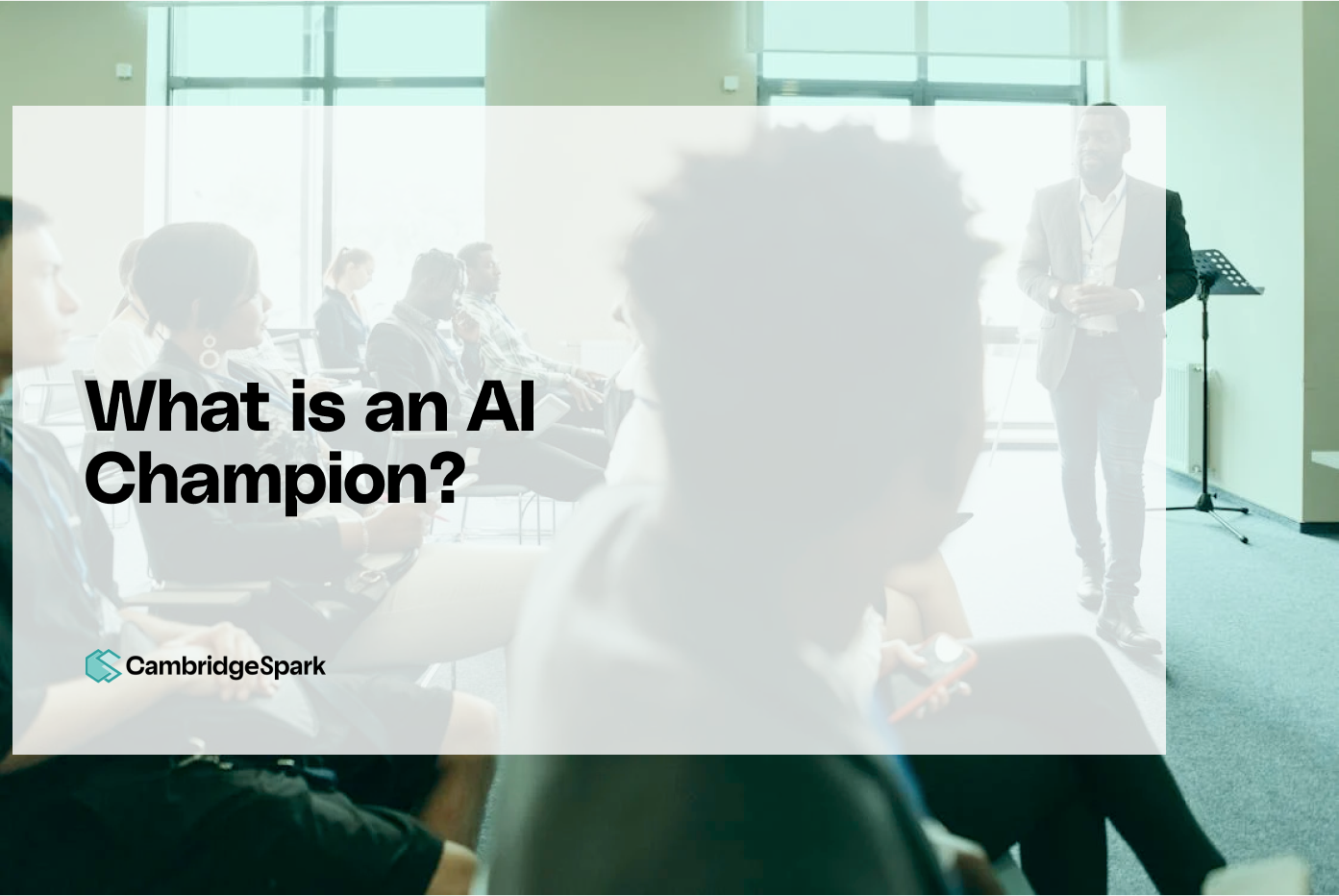 What is an AI Champion?